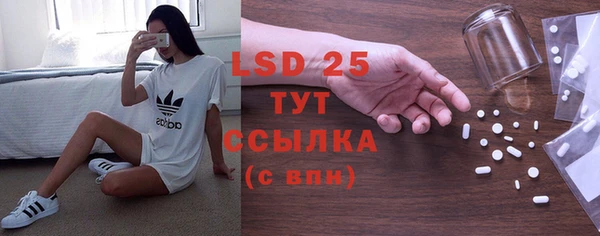 сатива Михайловка