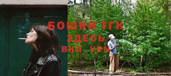 сатива Михайловка