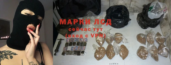сатива Михайловка