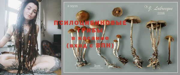 метадон Михайлов
