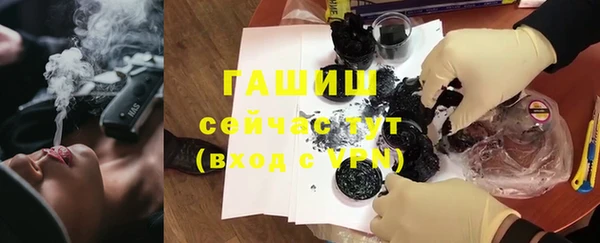 хмурый Бикин