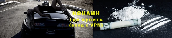 гашик Билибино