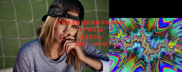 метадон Михайлов