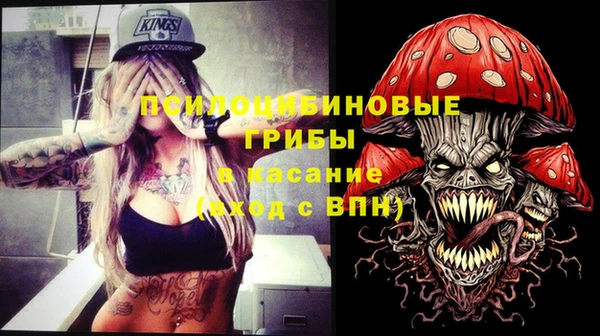 сатива Михайловка