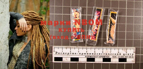 сатива Михайловка