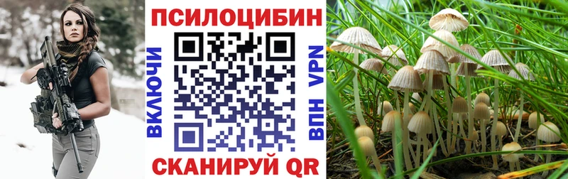 Псилоцибиновые грибы Psilocybine cubensis Чадан